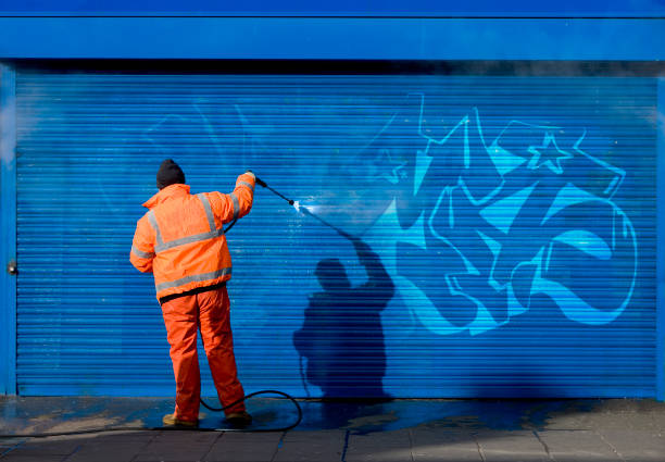 Best Best Pressure Washing Companies  in Louisburg, NC