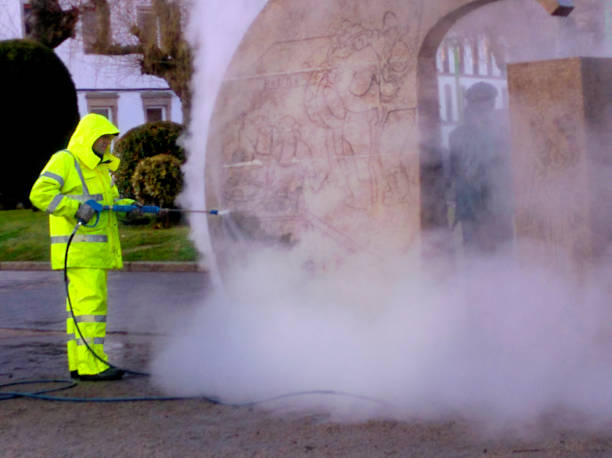 Best Roof Pressure Washing  in Louisburg, NC