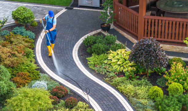Best Affordable Pressure Washing  in Louisburg, NC